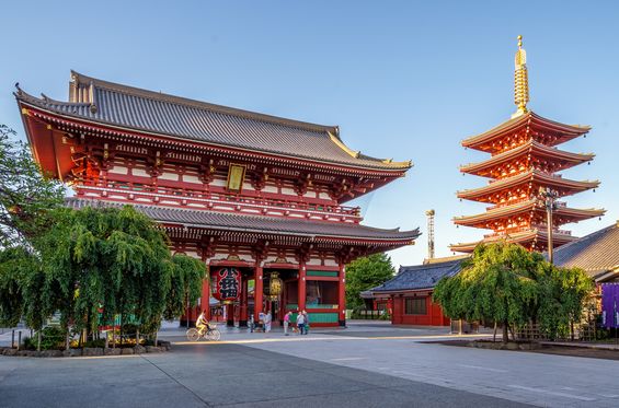 Things to do in Tokyo: Discover the best activites