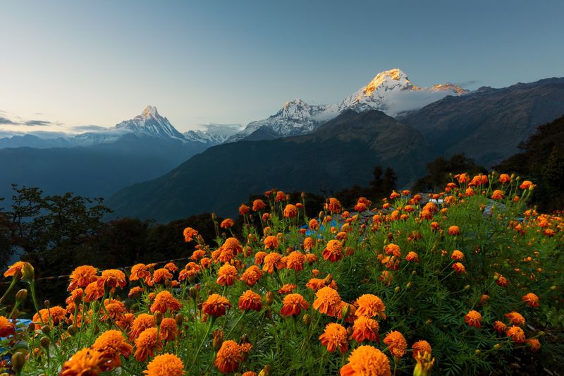 Traveling Nepal: our 5 tips